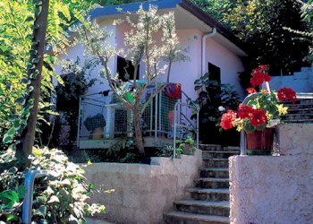 15 STRUTTURA TURISTICA RICETTIVA VISTA MARE CUPRA - Non Alimentare Cupra Marittima - foto 8