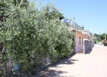 17 STRUTTURA TURISTICA RICETTIVA VISTA MARE CUPRA - Non Alimentare Cupra Marittima - foto 19