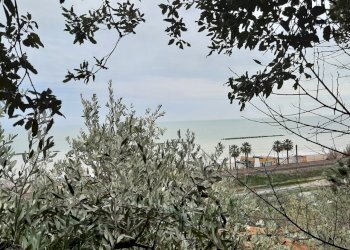 14 STRUTTURA TURISTICA RICETTIVA VISTA MARE CUPRA - Non Alimentare Cupra Marittima - foto 30