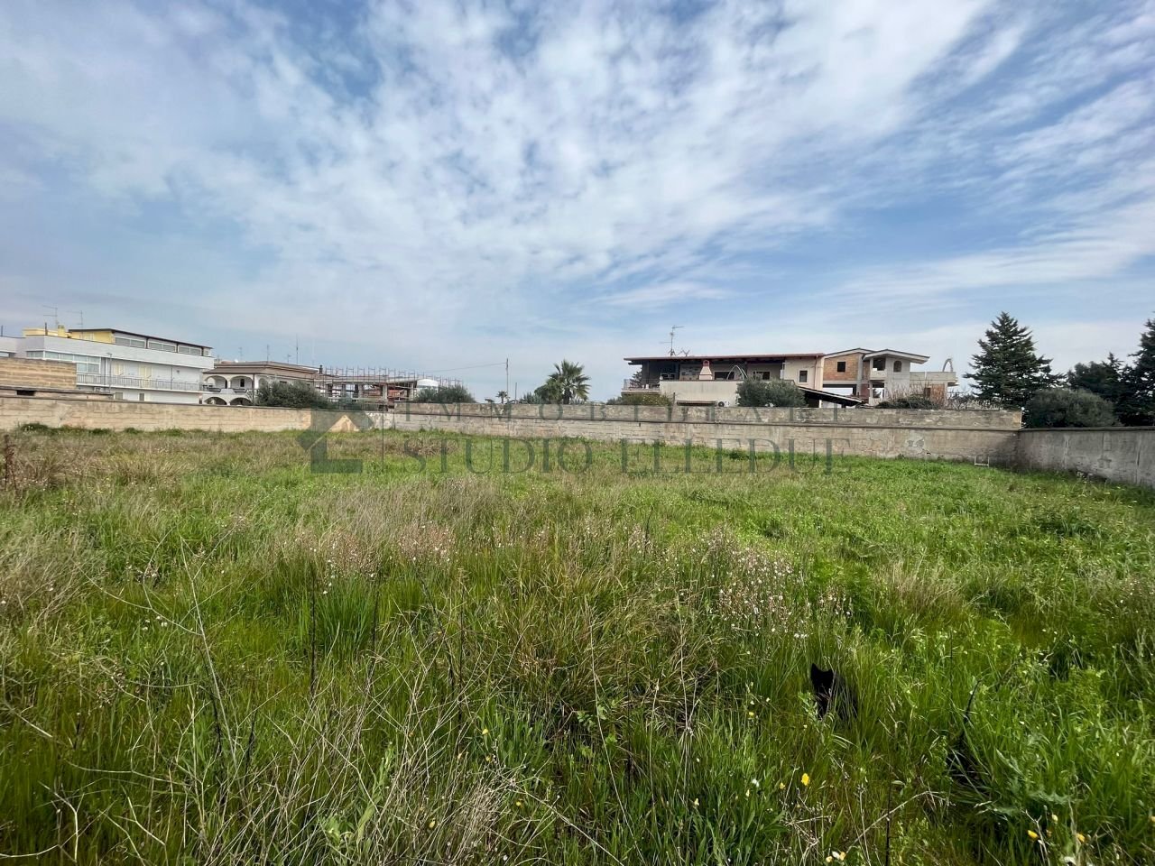 terreno - Terreno edificabile Via Pastrengo, Sannicandro di Bari - foto 3