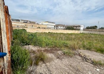 terreno - Terreno edificabile Via Pastrengo, Sannicandro di Bari - foto 5