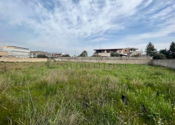 terreno - Terreno edificabile Via Pastrengo, Sannicandro di Bari - foto 10