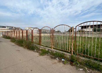 terreno - Terreno edificabile Via Pastrengo, Sannicandro di Bari - foto 11