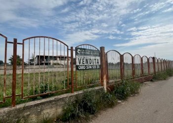 terreno - Terreno edificabile Via Pastrengo, Sannicandro di Bari - foto 12