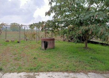 Rustic Costigliole d'Asti - photo 3