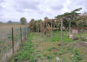 Rustic Costigliole d'Asti - photo 17