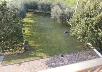 P1010155.jpg - Appartamento Jesi - foto 14