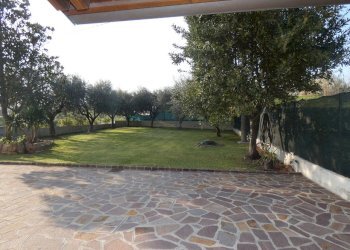 P1010164.jpg - Appartamento Jesi - foto 22