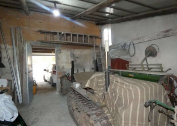 P1010174.jpg - Appartamento Jesi - foto 30