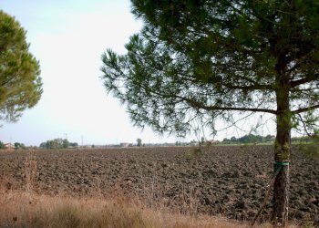 2.JPG - Terreno agricolo Via Emilia, Rimini - foto 1