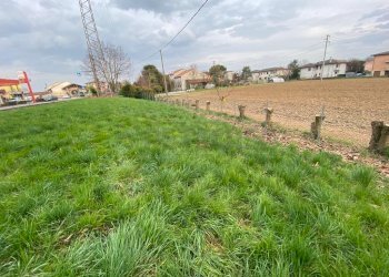 WhatsApp Image 2023-03-29 at 18.11.04(2).jpeg - Terreno edificabile Strada Ca' Balbi 59, Quinto Vicentino - foto 3