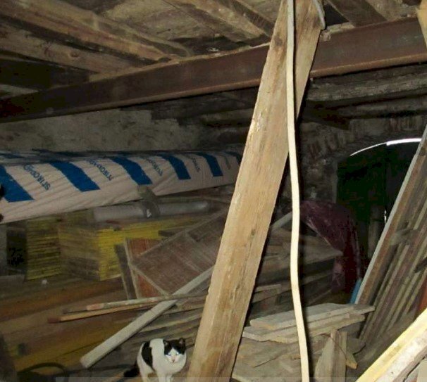 2.jpg - Warehouse at auction Via Lorenzo Lucifredi snc, Borghetto d'Arroscia - photo 3
