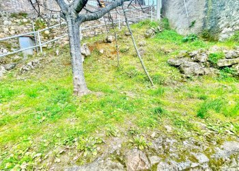 IMG_2238.jpg - Casa indipendente Pietrasanta - foto 7