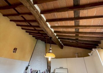 IMG_4206 2.JPG - Casa indipendente Pietrasanta - foto 12