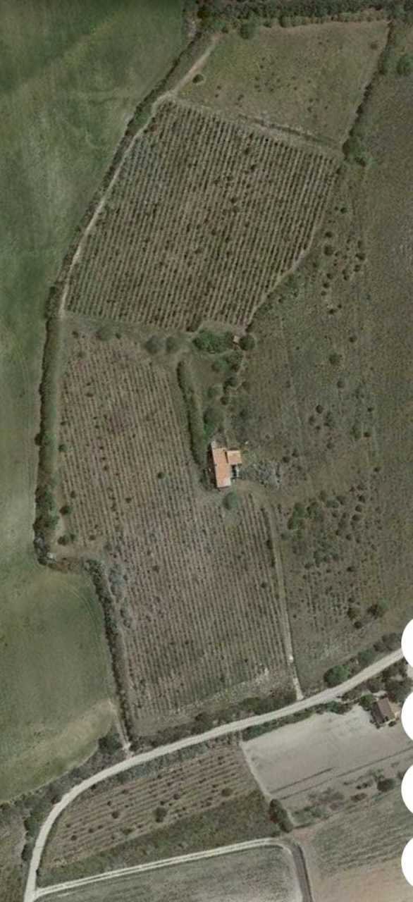 IMG-20230327-WA0018.jpg - Agricultural land Sorso - photo 3