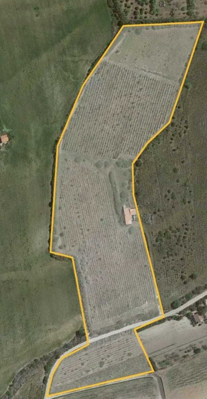 IMG-20230327-WA0019.jpg - Agricultural land Sorso - photo 1