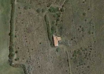 IMG-20230327-WA0018.jpg - Agricultural land Sorso - photo 3