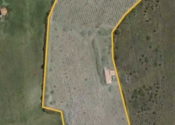 IMG-20230327-WA0019.jpg - Agricultural land Sorso - photo 1