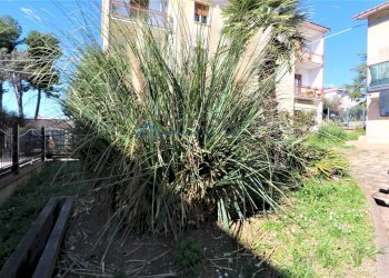 Casa indipendente via Petrarca, Nereto - foto 26