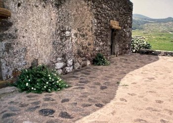 Giardino - Rustico via Barone, 5, Pantelleria - foto 15