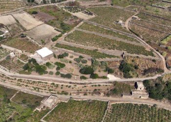 Mappa - Rustico via Barone, 5, Pantelleria - foto 18