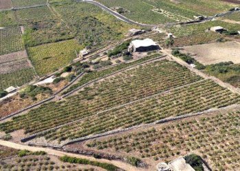 Terreno - Rustico via Barone, 5, Pantelleria - foto 20