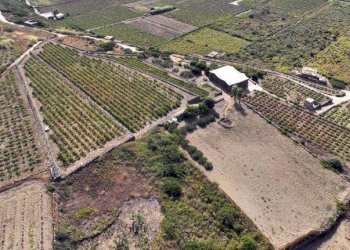 Vista - Rustico via Barone, 5, Pantelleria - foto 21