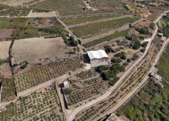 Terreno - Rustico via Barone, 5, Pantelleria - foto 23