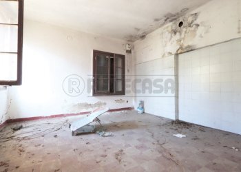 IMG_5167.JPG - Rustico Via delle Grotte, Longare - foto 3