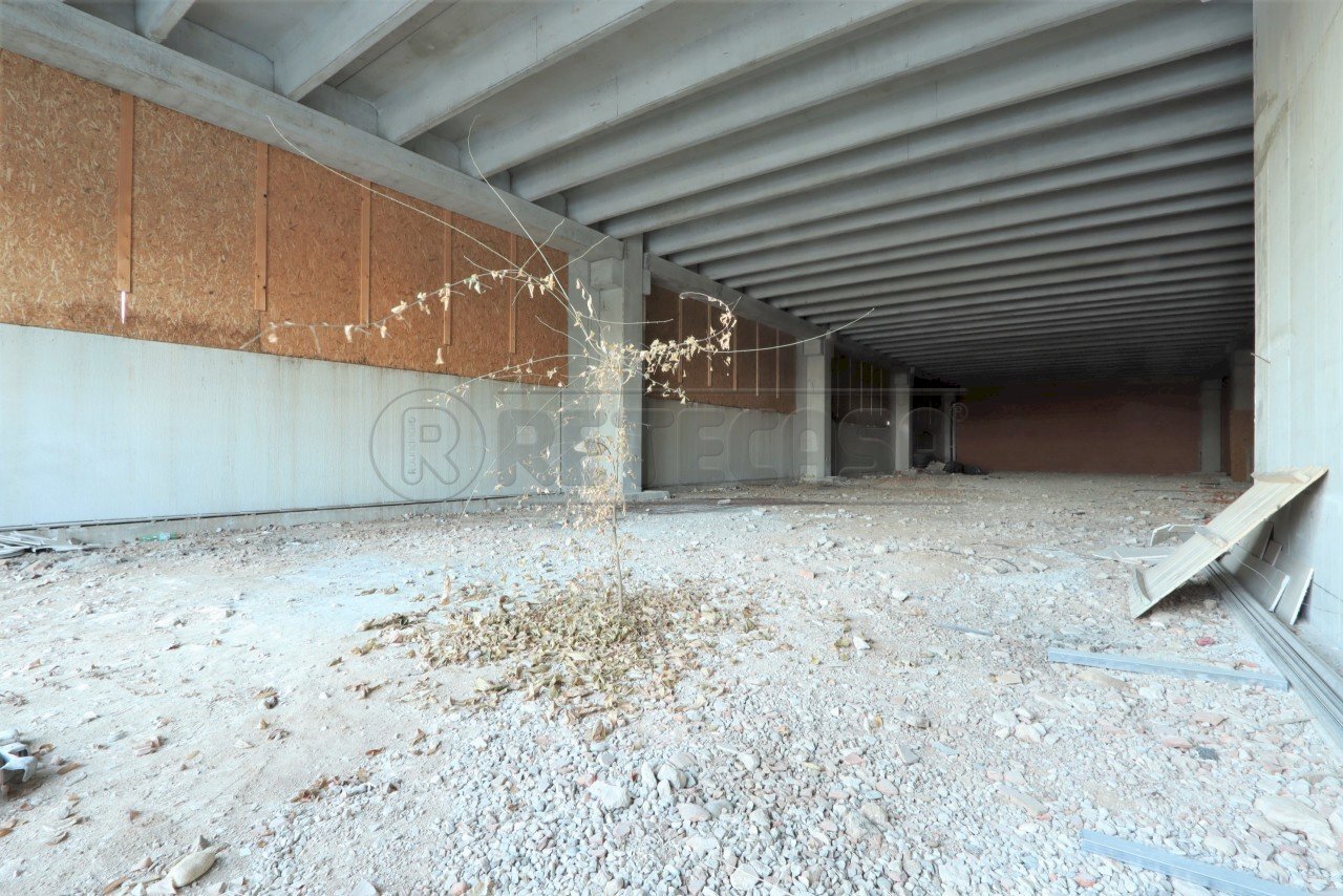 IMG_4823.JPG - Laboratorio Viale Riviera Berica, Vicenza - foto 2