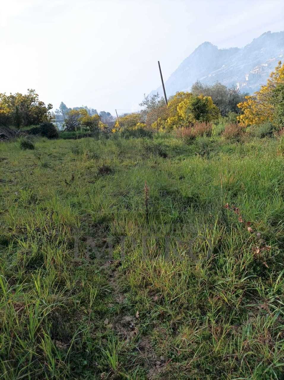 Terreno agricolo Strada Cannavaira, San Biagio della Cima - foto 2