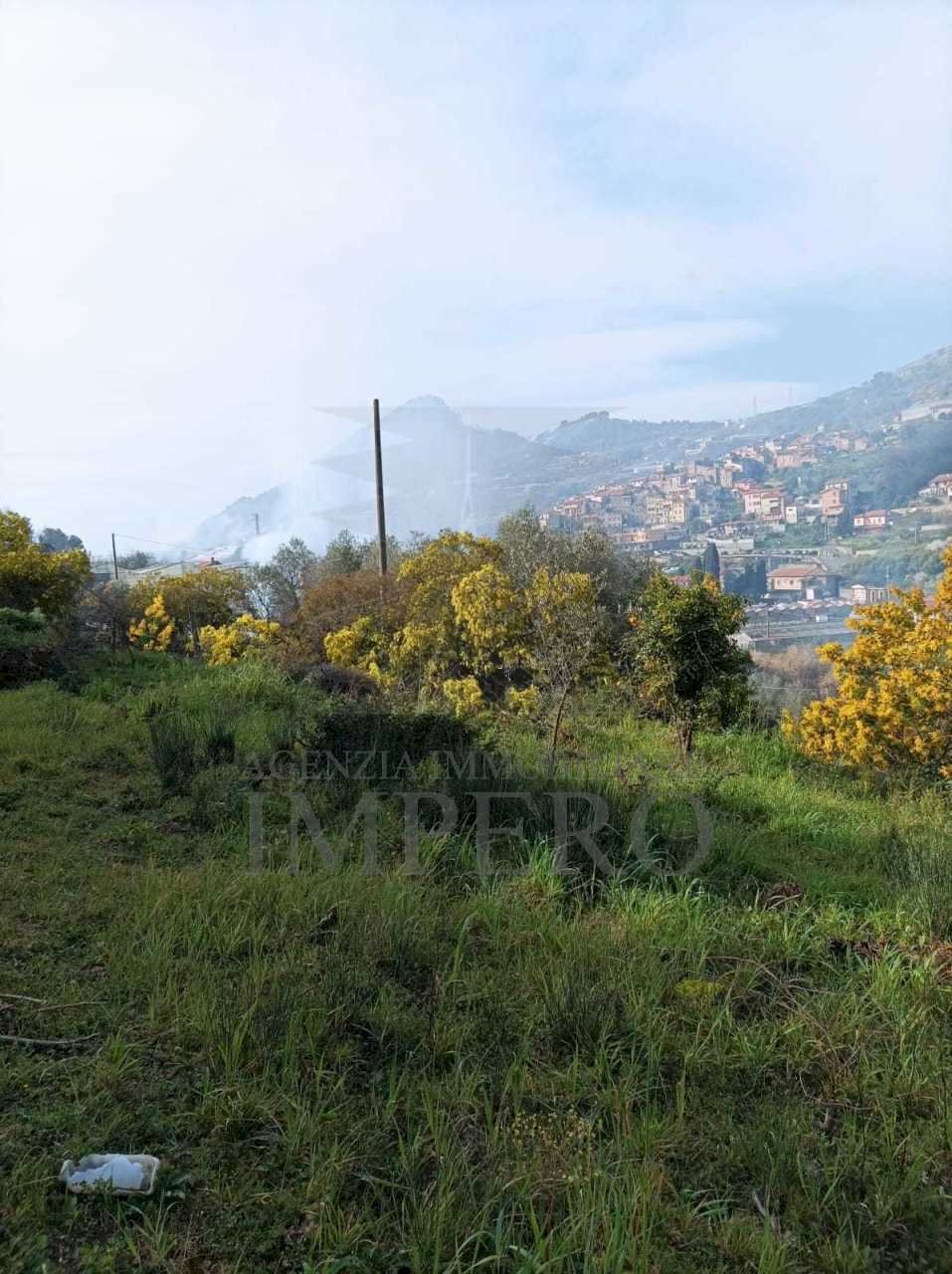 Terreno agricolo Strada Cannavaira, San Biagio della Cima - foto 3