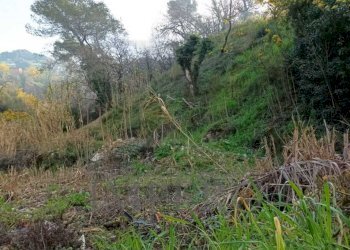 Terreno agricolo Strada Cannavaira, San Biagio della Cima - foto 1