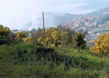 Terreno agricolo Strada Cannavaira, San Biagio della Cima - foto 3