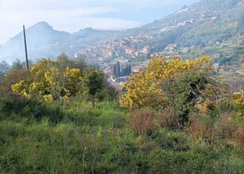 Terreno agricolo Strada Cannavaira, San Biagio della Cima - foto 5