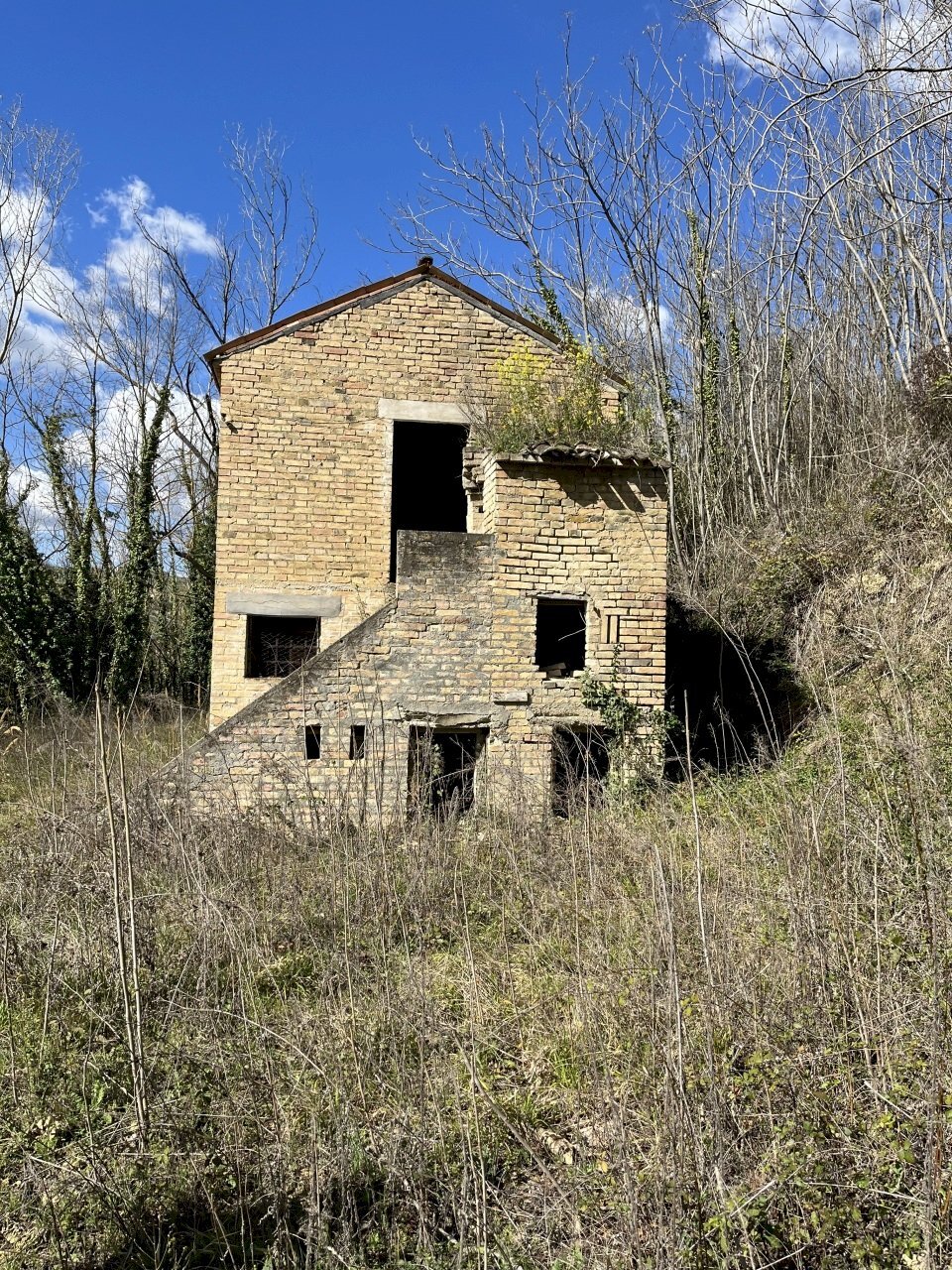 IMG-2214.jpg - Casale Offida - photo 1