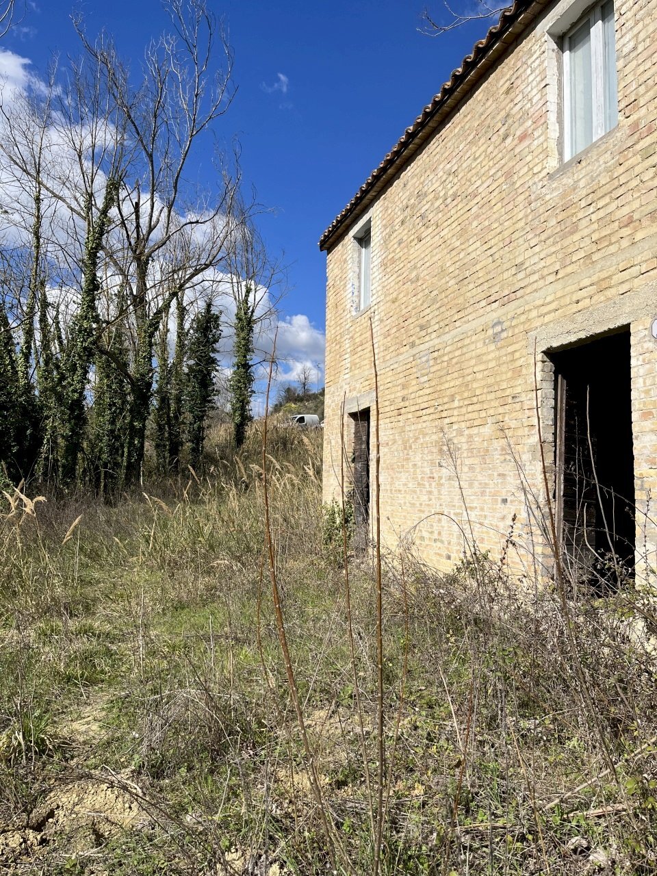 IMG-2198.jpg - Casale Offida - photo 2