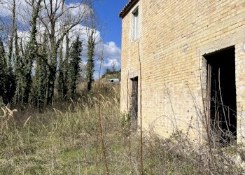 IMG-2198.jpg - Casale Offida - photo 2