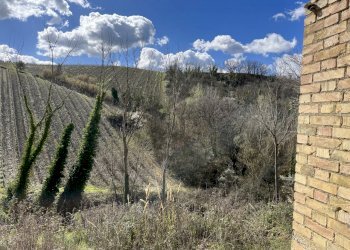 IMG-2202.jpg - Casale Offida - photo 4