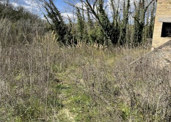 IMG-2215.jpg - Casale Offida - photo 7