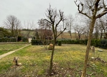 IMG_9882.jpg - Appartamento Via Tepice 10, Pino Torinese - foto 2