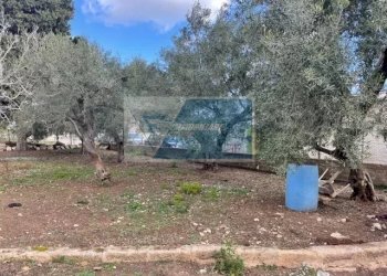 Terreno edificabile Viale Edoardo Garrone, Melilli - foto 5