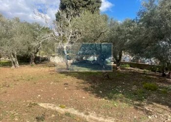 Terreno edificabile Viale Edoardo Garrone, Melilli - foto 6