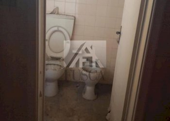 fondo-commerciale-lucca-affitto_6.jpg - Commercial Premises Viale San Concordio, Lucca - photo 7