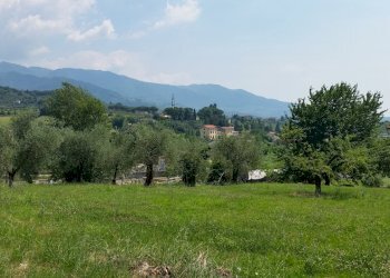 20150630_114500.jpg - Terreno edificabile Via Francesco Ferraris, Lucca - foto 4