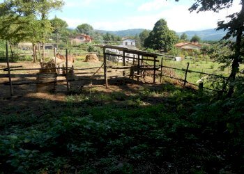 DSCN1930.JPG - Terreno edificabile Via Francesco Ferraris, Lucca - foto 5