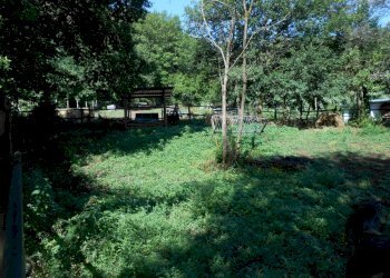 DSCN1931.JPG - Terreno edificabile Via Francesco Ferraris, Lucca - foto 6