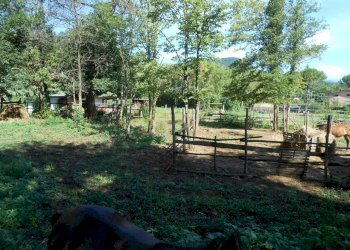 DSCN1932.JPG - Terreno edificabile Via Francesco Ferraris, Lucca - foto 7