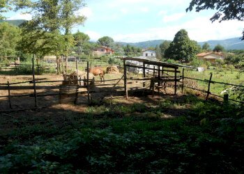 DSCN1933.JPG - Terreno edificabile Via Francesco Ferraris, Lucca - foto 8