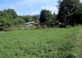 DSCN1934.JPG - Terreno edificabile Via Francesco Ferraris, Lucca - foto 9